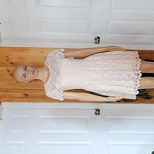 Express Cream Colored Mini Lace Dress